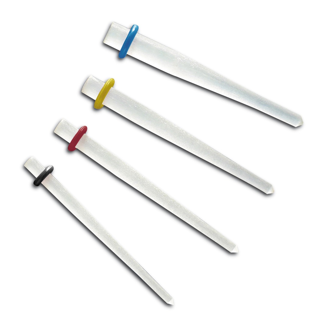 2736473 Dentsply bD.T. Light Post - immagine 1