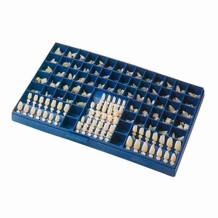 Inline Corone Provvisorie Policarbonato Ant+Prem - immagine 1