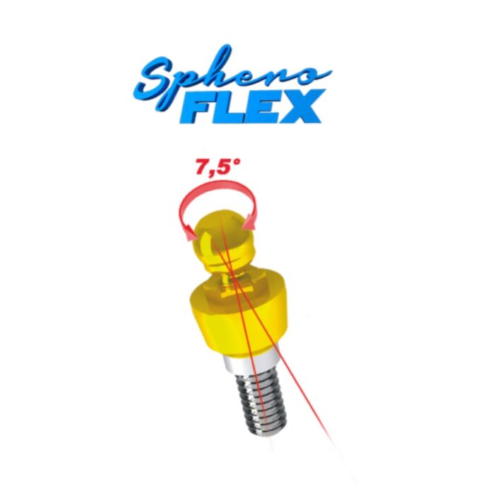Rhein Spheroflex Int - immagine 1